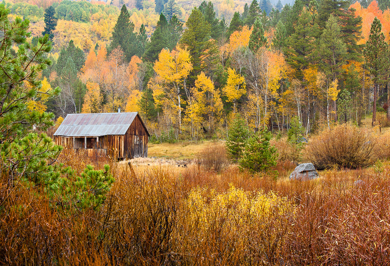 Rustic Cabin Hope Valley