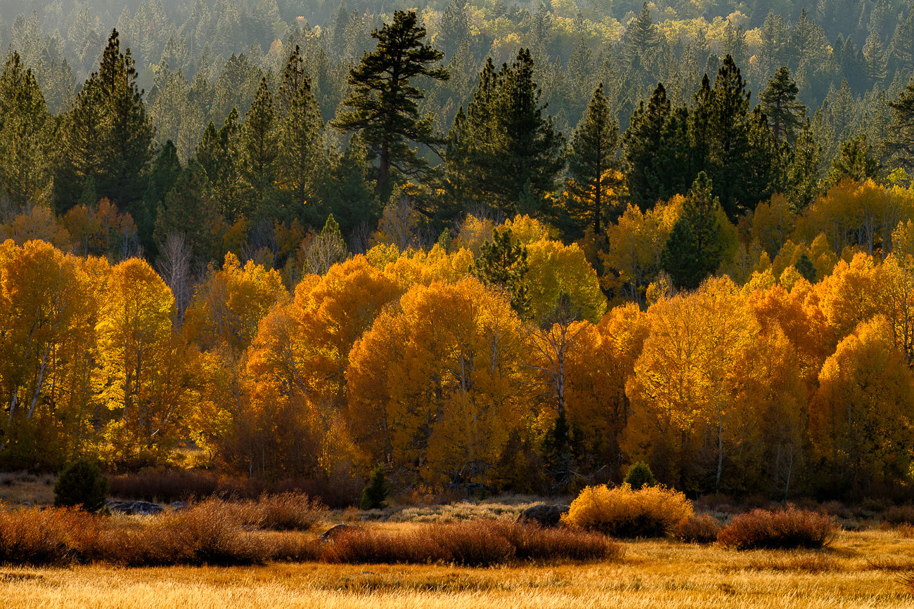 Hope Valley Autumn Splendor