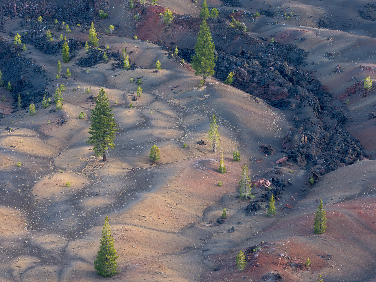 Timeless Painted Dunes