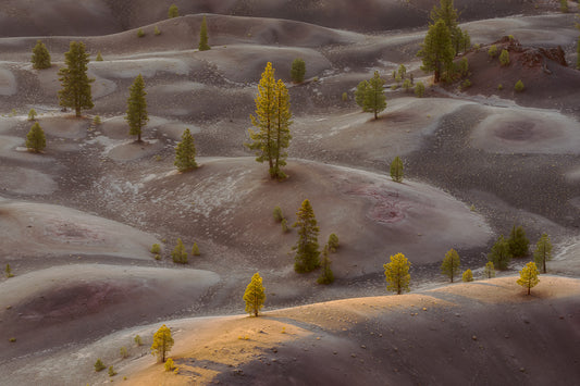 Frosty Painted Dunes