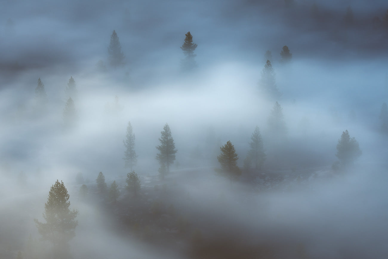 Sea of Fog over Painted Dunes