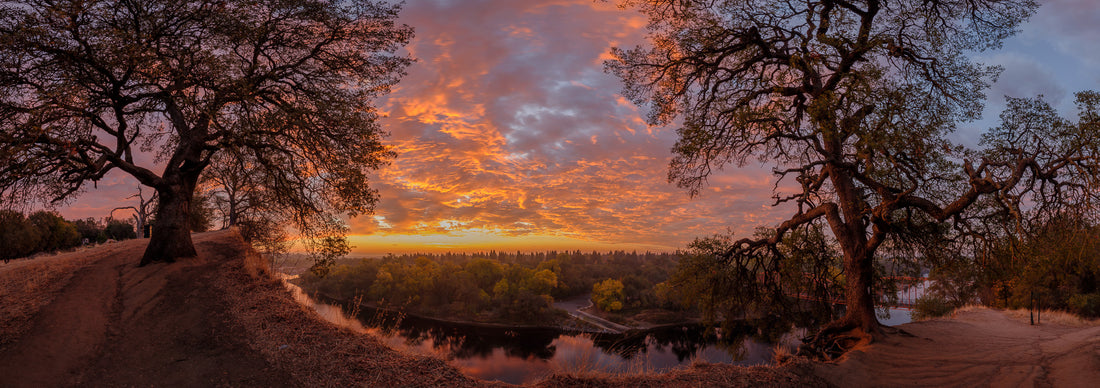 Discover the Natural Beauty of Sacramento