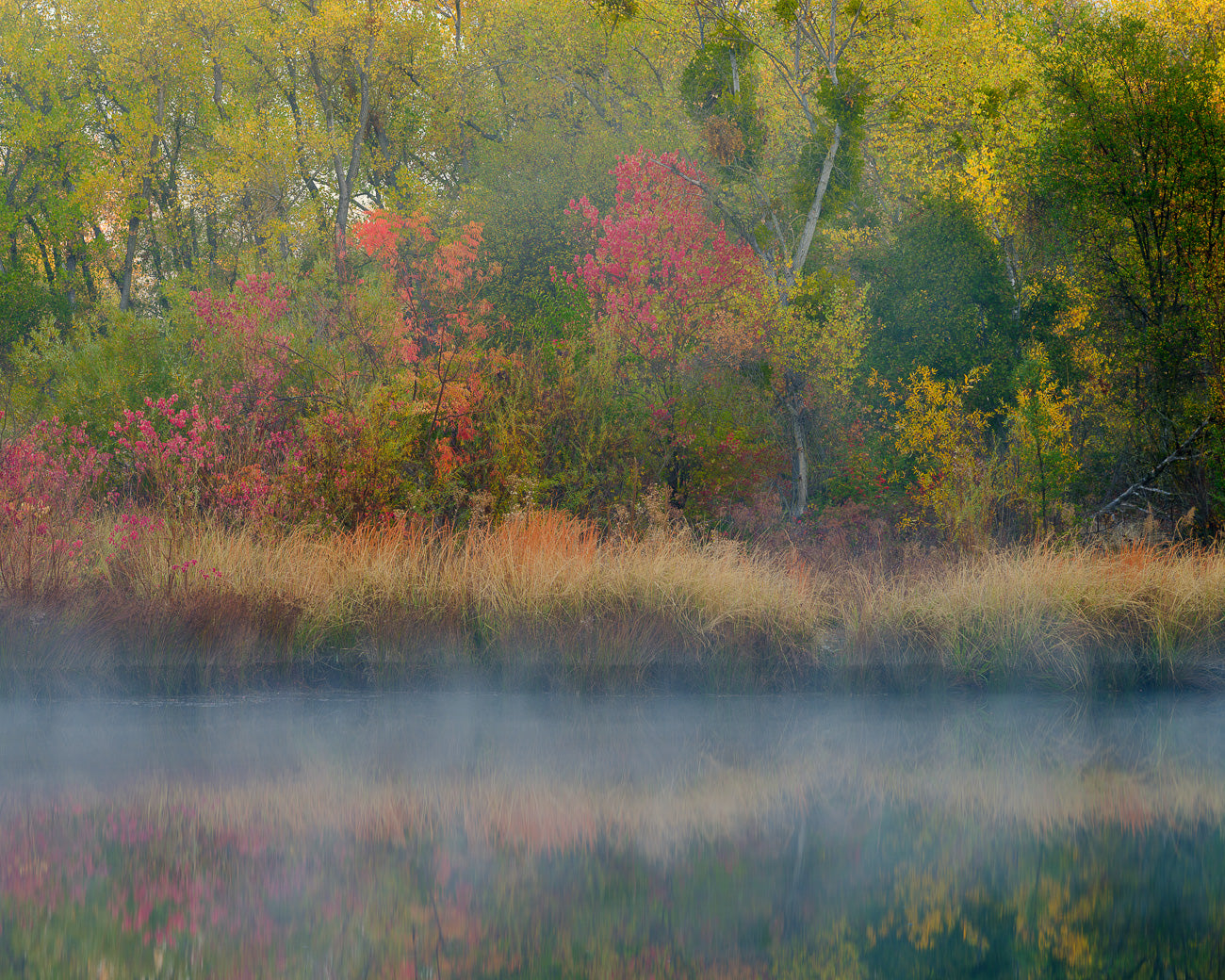 Painterly Pond