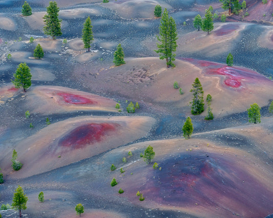 Painted Dunes at Dusk
