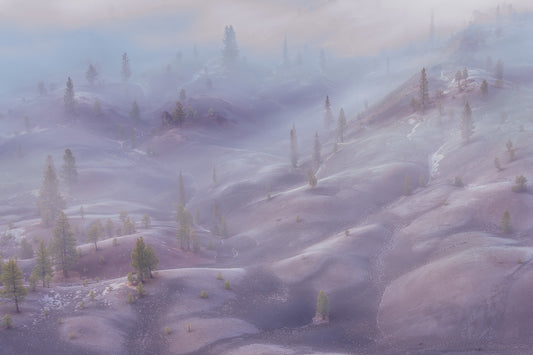 Ethereal Painted Dunes